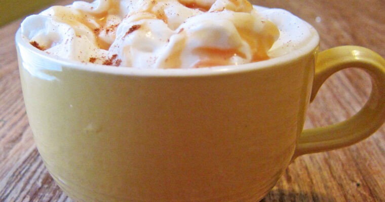 Crock-Pot Caramel Apple Cider ….IT’S SOOOOO GOOD