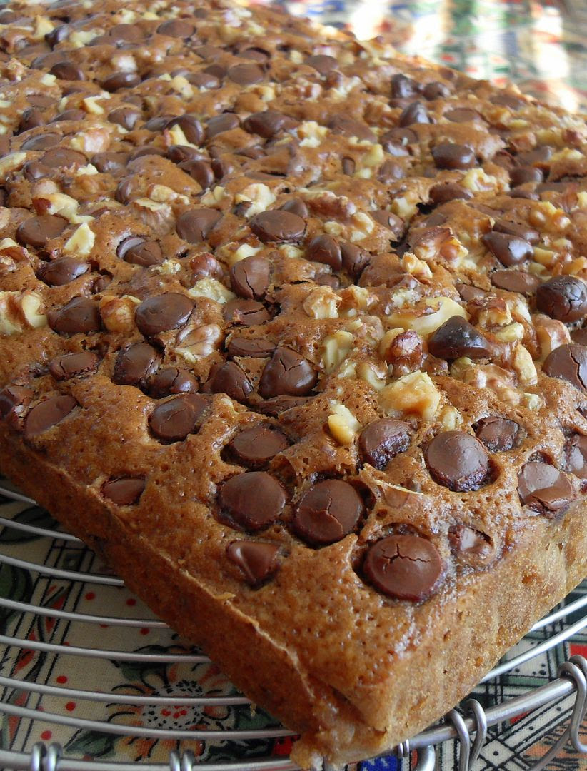 THE BEST Oatmeal Chocolate Chip Cake