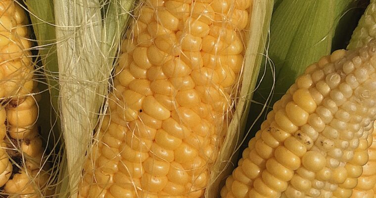 How To Cook Corn On The Cob