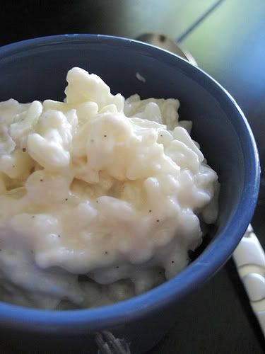 Classic Old Fashioned Rice Pudding