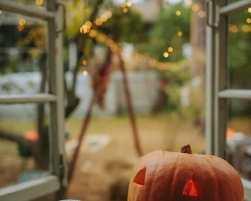 Roasted Pumpkin Seeds Recipe