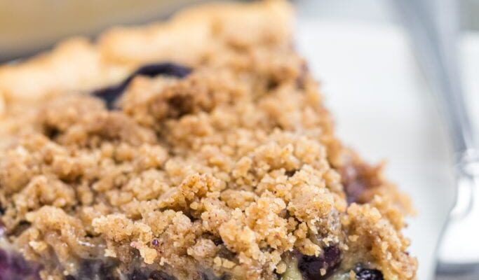 Delicious Creamy Blueberry Pie