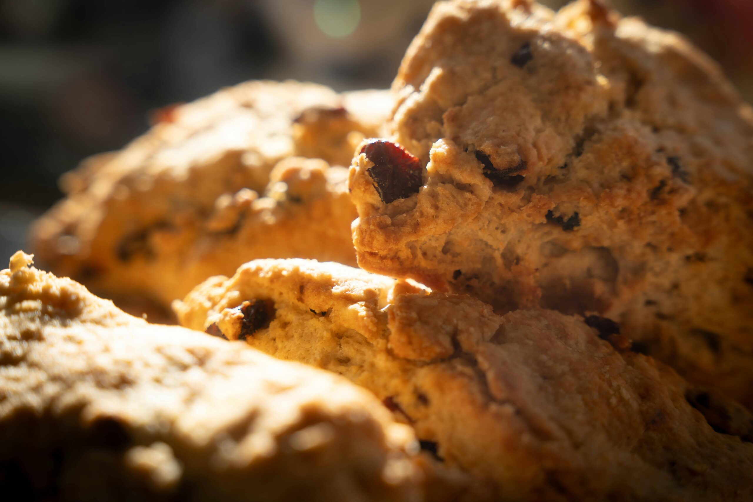 Christmas Morning Cranberry Orange Scones
