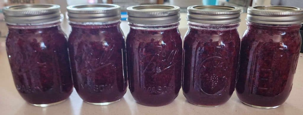 Blueberry Lemonade Concentrate Recipe